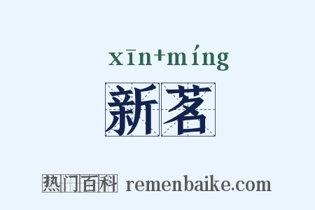 新茗是什么意思的图片